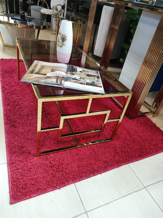 Stainless Steel Coffee Table 120×55 cm - TFS1